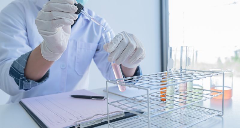 Maestría en Biotecnología Molecular
