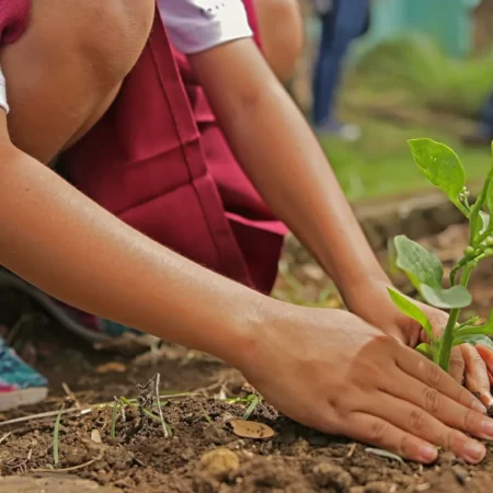 Curso Medio Ambiente