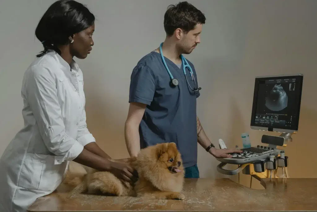 Curso de POCUS y Procedimientos Ecoguiados en Urgencias Veterinarias 2