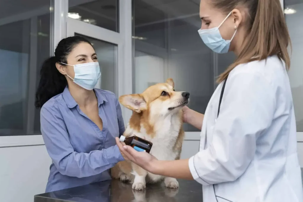 Diplomado en Atención Crítica Veterinaria Aplicada (ECCUCI) 2