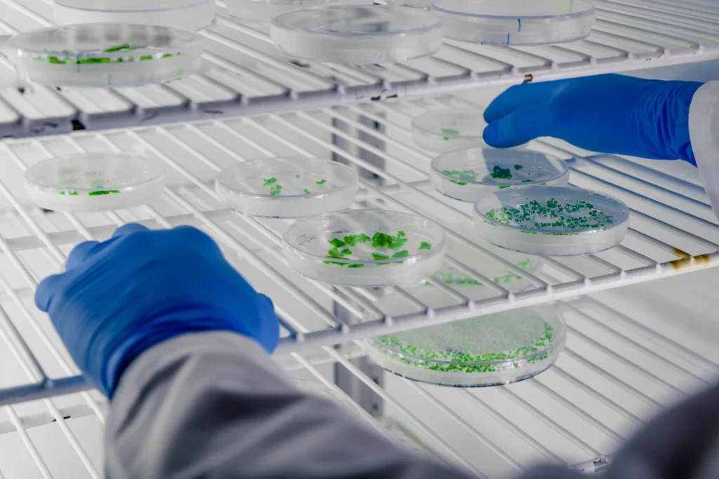 Curso de Análisis e Identificación de Microplásticos en Laboratorio 3