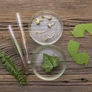 Diplomado en Economía Circular y Reducción de Microplásticos 1