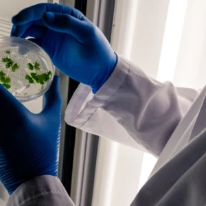 Diplomado en Muestreo y Análisis de Microplásticos Ambientales 2