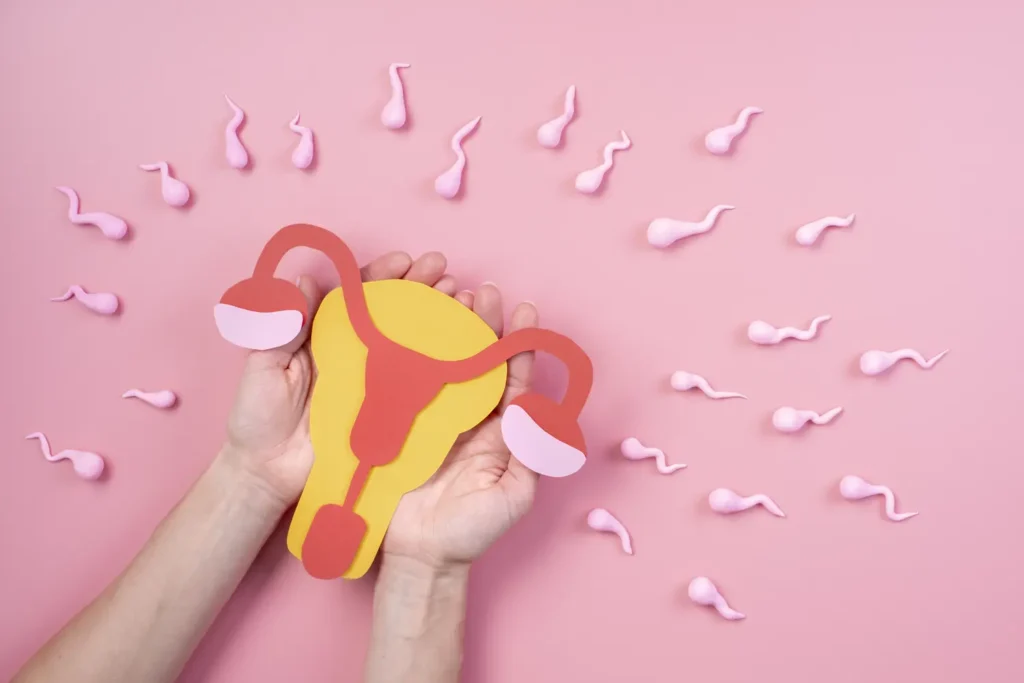 Diplomado en Salud Hormonal Femenina y Fertilidad 3