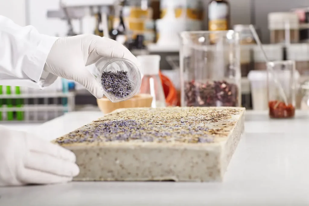 Máster en Ciencia y Monitoreo Ambiental de Microplásticos 2