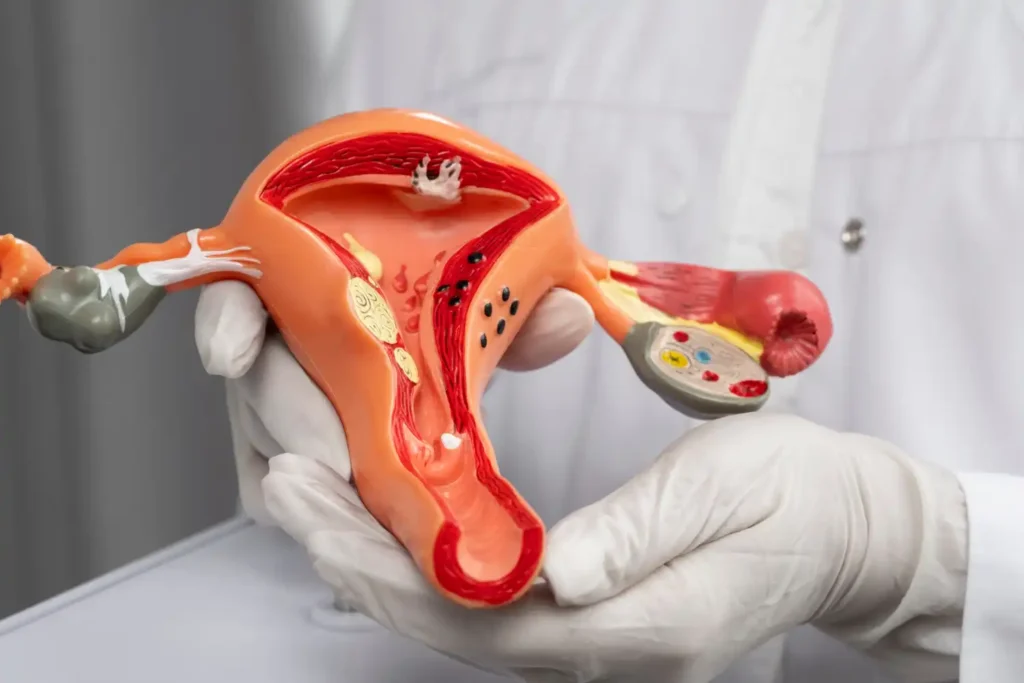 Maestría Anatomía y Fisiología del Aparato Reproductor Femenino 2