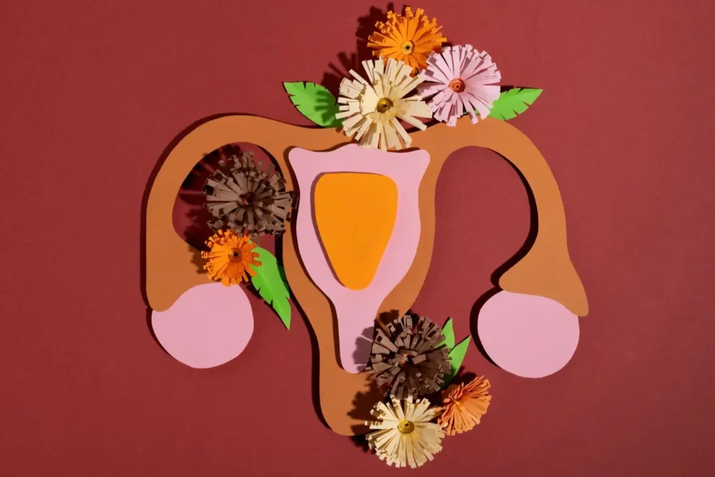 Maestría Anatomía y Fisiología del Aparato Reproductor Femenino 3