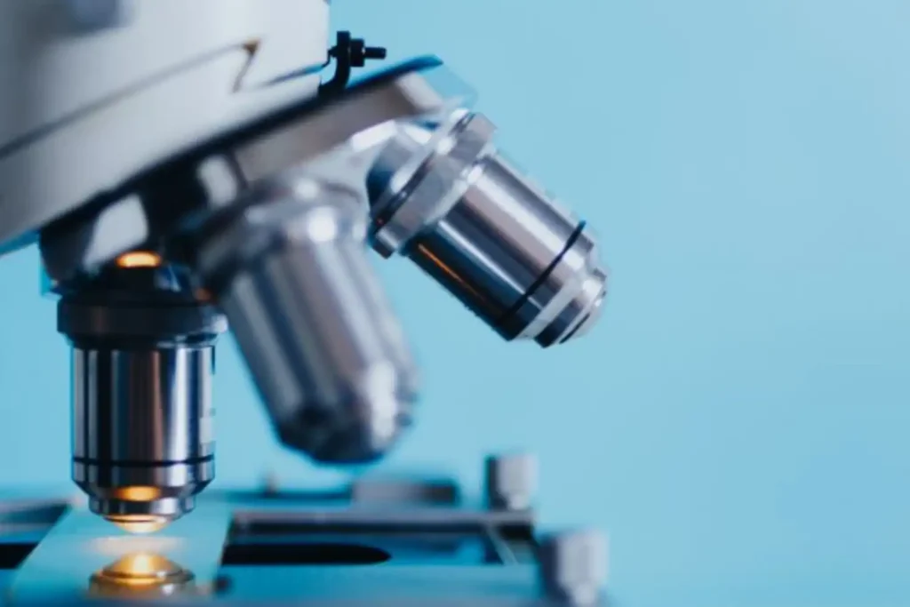 Maestría en Biotecnología Molecular 2