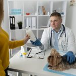 Curso-de-Urolitiasis-Canina-y-Felina-Diagnostico-Dieta-e-Intervencion-1-scaled-1.jpg