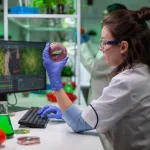 Biologist researcher holding in hands vegan beef meat sample